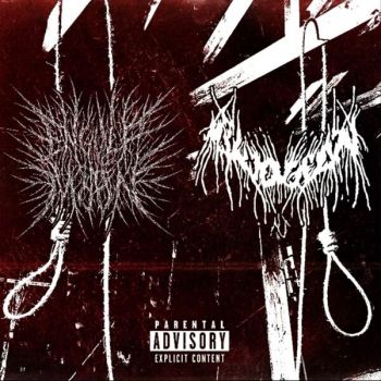 Engulf the Moon / Bludgeon - Split in Half (2026)