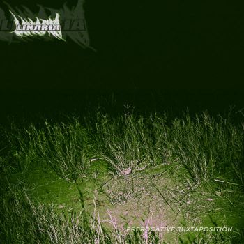 Linaria - Prerogative Juxtaposition (2026)