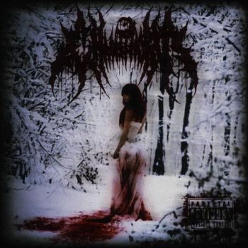 Chaos in Order - Blood Ridden Snow (2026)