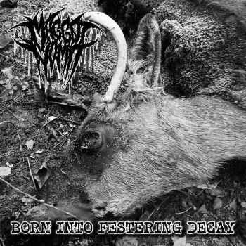 Maggot Vomit - Born into Festering Decay (2026)
