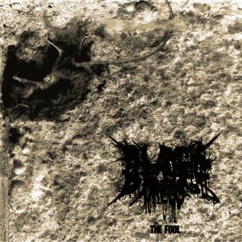 Black Dregs - The Fool (2026)
