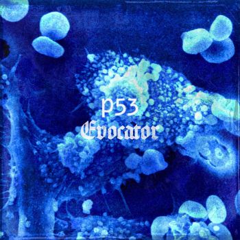 p53 / Evocator - Split (2026)