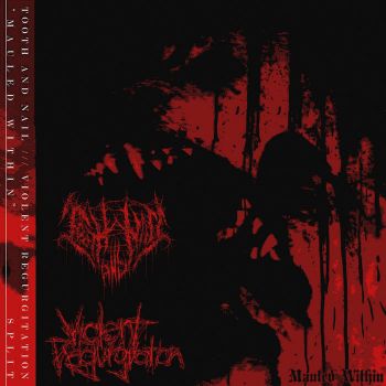Tooth and Nail / Violent Regurgitation - Mauled Within (2026)
