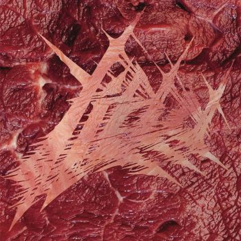 Yield - Live @ Slaughterfest 2025 (2026)