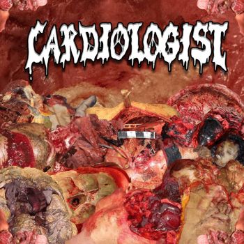 Cardiologist - Cardiologist (2026)