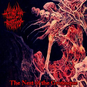 Church of Insects - The Nest of the Grotesque (2026)
