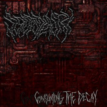 Scrotoplasty - Consuming the Decay (2026)