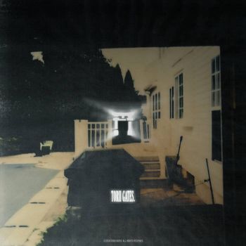 Torii Gates. - Collection Vol. 1 (2025)