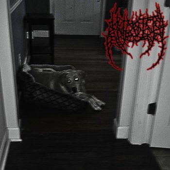 Anguish - Recollections of Deprivation (2026)