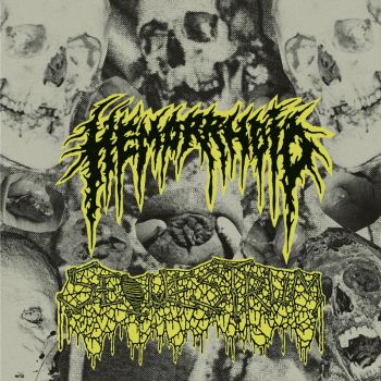 Hemorrhoid / Sequestrum - Split (2026)
