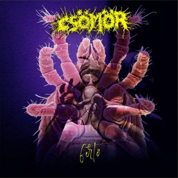 Csomor - Ferto (2026)