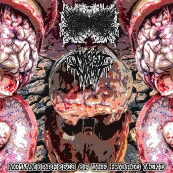 Degenerates Boiled Alive in Raw Human Faeces / Maggot Vomit - Metamorphosis of the Hybrid Mind (2026)