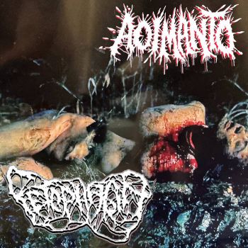 Aoi Manto / Fetophagia - Split (2026)