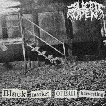 Sliced Open - Black Market Organ Harvesting (2026)