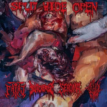 Fatal / Butchered / Seroma / Valem - Split Wide Open (2026)