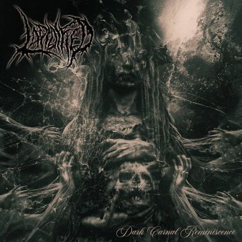 Lapidified - Dark Carnal Reminiscence (2026)
