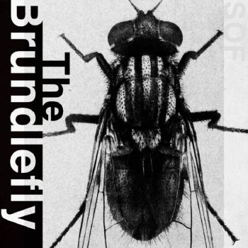 Sounds of the Future (S.O.F.) - The Brundlefly (2026)
