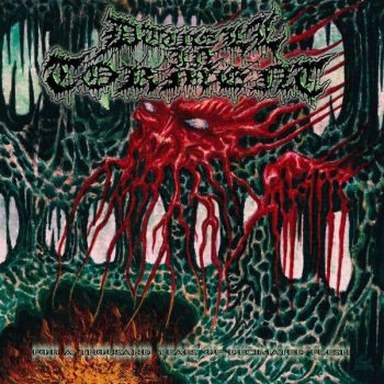 Dwell in Torment - For a Thousand Years of Decimated Flesh (2026)