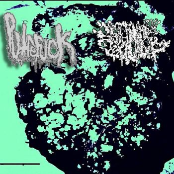 Putrefuck / Disgurgitate - Split (2026)