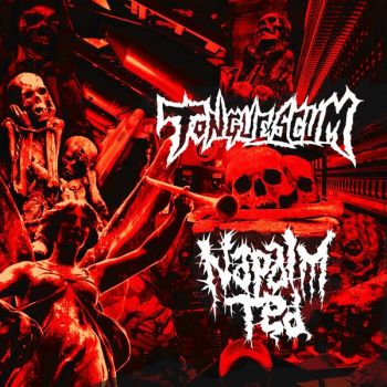 Tongue Scum / Napalm Ted - Split (2026)