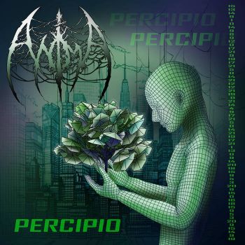 Anima - Percipio (2026)