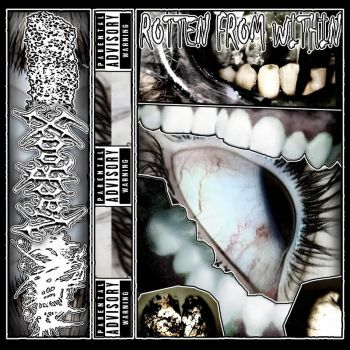 KumDump / VaeRooX / Flower Fields - Rotten from Within (2026)