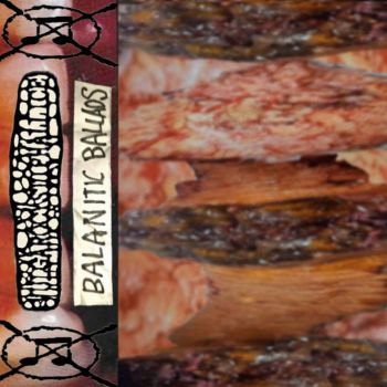 Vulgarocystiphallice - Balanitic Ballads (2026)