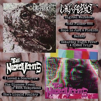 Din-Addict / The NecroVomits - Split (2026)