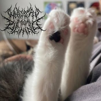 Whispers from Behind - Suppressed Heart (2025)