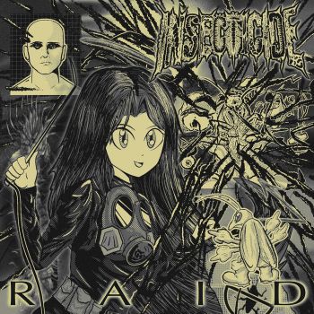 Insecticide - Raid (2026)