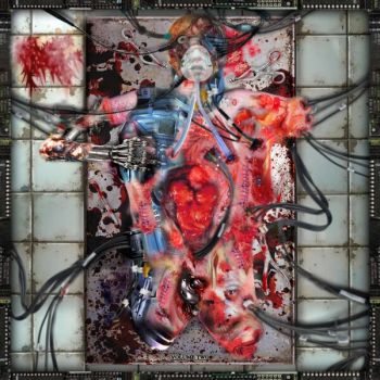 Fridge - Volume Two (2026)