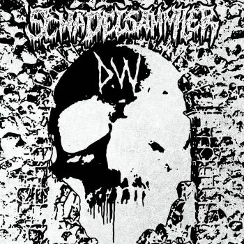 Schadelsammler - D.W. (2026)