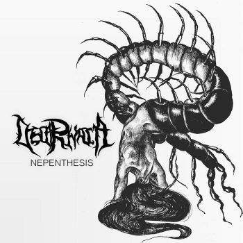 Decarnata - Nepenthesis (2025)