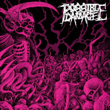 Possible Damage - Possible Damage (2024)