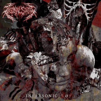 Agonal State - Infrasonic Rot (2026)