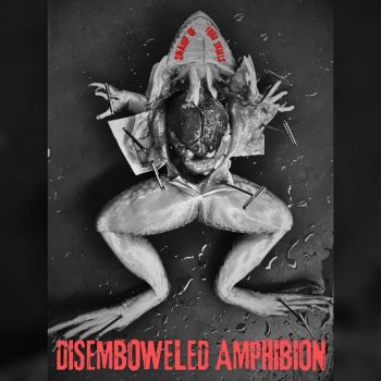 Swamp of Frog Skulls - Disemboweled Amphibian (2026)